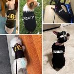 Dog Shirts 4 Pack Cat Apparel Costumes for Cosplay，Breathable Pet T-Shirts，Summer Clothes K9 Security Boss FBI Vest for Dogs Puppy Boy Girl (L, Black)