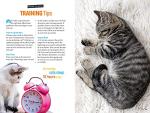 Learn to Speak Cat: Training Guide