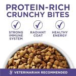 Purina ONE Natural Cat Food for Hairball Control, +PLUS Hairball Formula - 22 lb. Bag