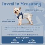 rabbitgoo Small Dog Harness, Step-in Soft Mesh Puppy Vest with Safety Buckle, Breathable Reflective Pet Harness for Small Sized Dogs, Navy Blue S