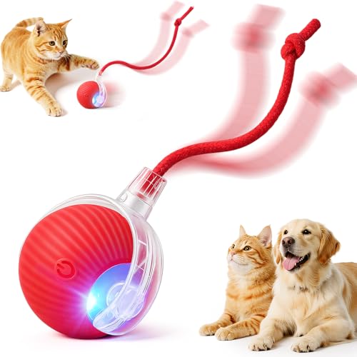 SilveWillo Interactive Electric Automatic Rolling Moving USB Rechargeable Self Activated Play Stimulation Toy Smart Chase Teaser Ball with Speedy Tail Rope for Bored Adult Indoor Cats Puppy Dogs, Red
