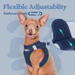 rabbitgoo Small Dog Harness, Step-in Soft Mesh Puppy Vest with Safety Buckle, Breathable Reflective Pet Harness for Small Sized Dogs, Navy Blue S
