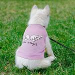 Reginary 8 Pieces Dog Shirts Girl Small Dog Clothes for Chihuahuas Yorkies Female Puppy Shirts Printed Pet Outfit Cute Breathable Soft Valentine's Day Doggie Cat Lovers Gift(Vivid Pattern,X-Small)