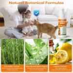 Cat Deterrent Spray 2 Pack, Natural Non-Toxic Plant Based Anti-Scratch & Anti-Marking Spray for Cats & Kittens, Orange Scent Pet Training Aid, Safe for Pets, Indoor Outdoor Furniture, Protector