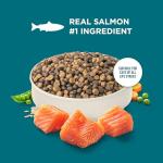 Nutrish Rachael Ray Dry Cat Food Real Salmon & Brown Rice Recipe, 14 lb. Bag