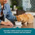 Nutrish Rachael Ray Dry Cat Food Real Salmon & Brown Rice Recipe, 14 lb. Bag