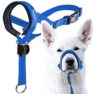 GoodBoy Dog Head Halter with Safety Strap - Stops Heavy Pulling On The Leash - Padded Headcollar for Small Medium and Large Dog Sizes - Head Collar Training Guide Included (Size 1, Blue Nylon)