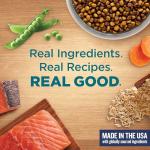 Nutrish Rachael Ray Dry Cat Food Real Salmon & Brown Rice Recipe, 14 lb. Bag