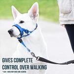GoodBoy Dog Head Halter with Safety Strap - Stops Heavy Pulling On The Leash - Padded Headcollar for Small Medium and Large Dog Sizes - Head Collar Training Guide Included (Size 1, Blue Nylon)