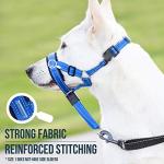 GoodBoy Dog Head Halter with Safety Strap - Stops Heavy Pulling On The Leash - Padded Headcollar for Small Medium and Large Dog Sizes - Head Collar Training Guide Included (Size 1, Blue Nylon)