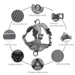 Wanheart cat Chest Harness and Leash, Anti-Escape Adjustable Soft mesh cat Leash and Chest Harness Set for All Types of Cats cat Vests (Grey, 6.6-9.9lb)