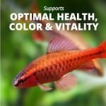 Tetra Pro Tropical Color Crisps for Fish 210g