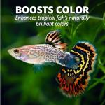 Tetra Pro Tropical Color Crisps for Fish 210g