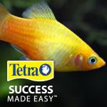 Tetra Pro Tropical Color Crisps for Fish 210g