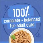 Purina Friskies Wet Cat Food Variety Pack 40-Cans