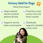 Pet Wellbeing Urinary Gold for Dogs - Vet-Formulated Multi-Herb Urinary Tract Support - Bladder Health & Urinary System Wellness - Natural Dog Supplement - Liquid Formula 2 oz (59ml)