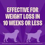 Wellness CORE Dry Dog Food, Small Breed, Grain-Free, High Protein, Natural, Healthy Weight Turkey & Chicken Recipe, (4-Pound Bag)