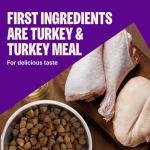 Wellness CORE Dry Dog Food, Small Breed, Grain-Free, High Protein, Natural, Healthy Weight Turkey & Chicken Recipe, (4-Pound Bag)
