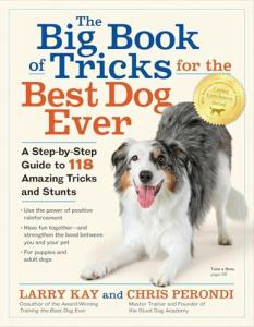 Dog Tricks Made Easy: 118 Fun Steps