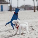 Gooby Escape Free Sport Harness - Pink, Small - No Choke Step-in Patented Neoprene Dog Harness with Four-Point Adjustment for Small to Medium Dogs