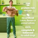 Purina Beneful High Protein, Gravy Wet Dog Food Variety Pack, Chopped Blends - (Pack of 12) 10 oz. Tubs
