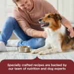 Nutrish Rachael Ray Adult Dry Dog Food Real Beef, Pea & Brown Rice Recipe, 5 lb. Bag