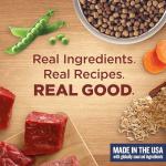 Nutrish Rachael Ray Adult Dry Dog Food Real Beef, Pea & Brown Rice Recipe, 5 lb. Bag