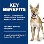Hill's Science Diet Adult 1-6, Adult 1-6 Premium Nutrition, Wet Dog Food, Chicken & Barley Loaf, 13 oz Can, Case of 12
