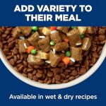 Hill's Science Diet Adult 1-6, Adult 1-6 Premium Nutrition, Wet Dog Food, Chicken & Barley Loaf, 13 oz Can, Case of 12
