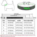 ETOPARS Microfiber Pet Dog Collar Leashes Set, Reflective Dog Collar, Double-Layer Soft Leather Pet Leash, Cat Dog Collar Leash Set, Pet Collar Leash for Small & Medium Dogs