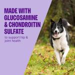 Wellness CORE Grain-Free Crunchy Dog Treats 8oz