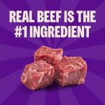 Wellness CORE Grain-Free Crunchy Dog Treats 8oz