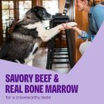 Wellness CORE Grain-Free Crunchy Dog Treats 8oz