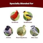 Kaytee Cardinal Seed Cake, Wild Bird Food, 1.85 Pounds