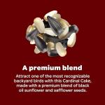 Kaytee Cardinal Seed Cake, Wild Bird Food, 1.85 Pounds