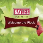 Kaytee Cardinal Seed Cake, Wild Bird Food, 1.85 Pounds