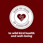 Kaytee Cardinal Seed Cake, Wild Bird Food, 1.85 Pounds