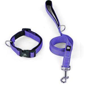 Reflective Adjustable Dog Collar and Leash Set