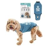 BellyGuard Dog Surgery Recovery Suit, Dog Onesie for Post-Op Care, Recovery Apparel for Female and Male, Surgical Body Cover for Canine Healing Support