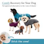 BellyGuard Dog Surgery Recovery Suit, Dog Onesie for Post-Op Care, Recovery Apparel for Female and Male, Surgical Body Cover for Canine Healing Support