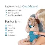 BellyGuard Dog Surgery Recovery Suit, Dog Onesie for Post-Op Care, Recovery Apparel for Female and Male, Surgical Body Cover for Canine Healing Support