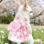choyaxo Floral Dog Dress Cute Dog Skirt Pet Dress Summer Pet Clothes for Puppy Small Cats