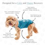 BellyGuard Dog Surgery Recovery Suit, Dog Onesie for Post-Op Care, Recovery Apparel for Female and Male, Surgical Body Cover for Canine Healing Support