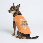 Fitwarm Happy Easter Bunny Dog Shirt, Easter Dog Clothes for Small Dogs Boy Girl, Cute Pet Outfit, Green, Blue, White, Orange, Large