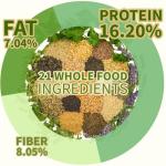 KikiBirds Premium Parrot Food| Protein-Rich Low-Fat Formula | Cockatiel, Conure, Lovebird, Quaker, Parrotlet | No Corn, Soy, Peanuts | Gourmet Whole Grains & Seeds | Daily Maintenance Blend (1 lb)