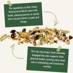 KikiBirds Premium Parrot Food| Protein-Rich Low-Fat Formula | Cockatiel, Conure, Lovebird, Quaker, Parrotlet | No Corn, Soy, Peanuts | Gourmet Whole Grains & Seeds | Daily Maintenance Blend (1 lb)