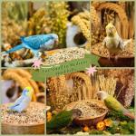 KikiBirds Premium Parrot Food| Protein-Rich Low-Fat Formula | Cockatiel, Conure, Lovebird, Quaker, Parrotlet | No Corn, Soy, Peanuts | Gourmet Whole Grains & Seeds | Daily Maintenance Blend (1 lb)