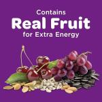 Kaytee Nut & Fruit Blend Bird Food 5 lbs