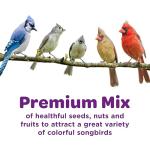 Kaytee Nut & Fruit Blend Bird Food 5 lbs