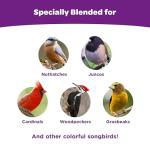 Kaytee Nut & Fruit Blend Bird Food 5 lbs
